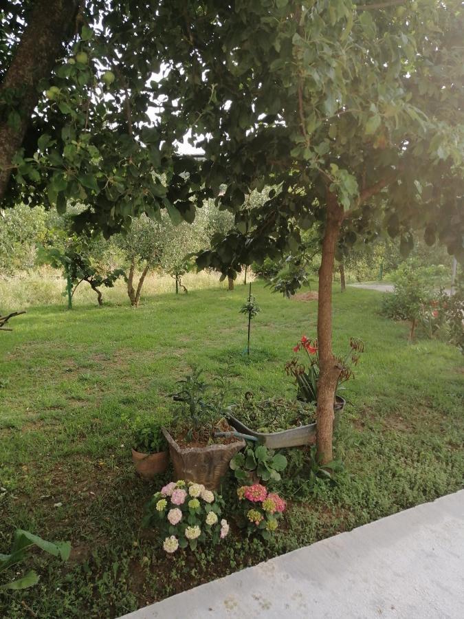 Apartman Petovic Kotor Exterior photo